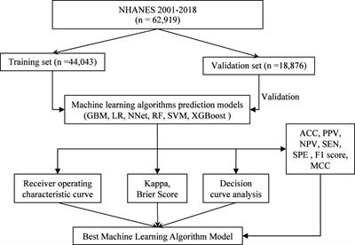 Machine learning-based prediction of vitamin D deficiency: NHANES 2001-2018